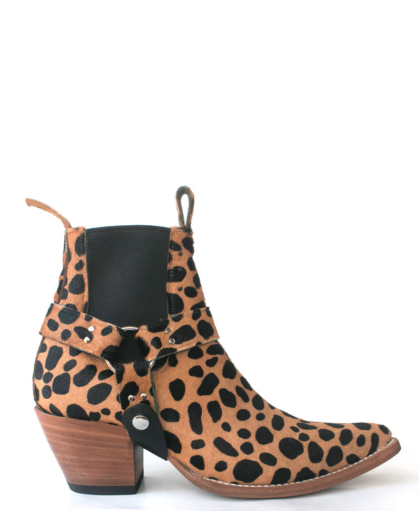 dalmatian_bootstraps_1_aa63aa8